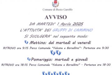 dicitura dell'attività
